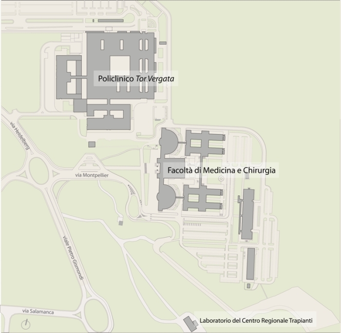 Mappa Facoltà di Medicina e Policlinico