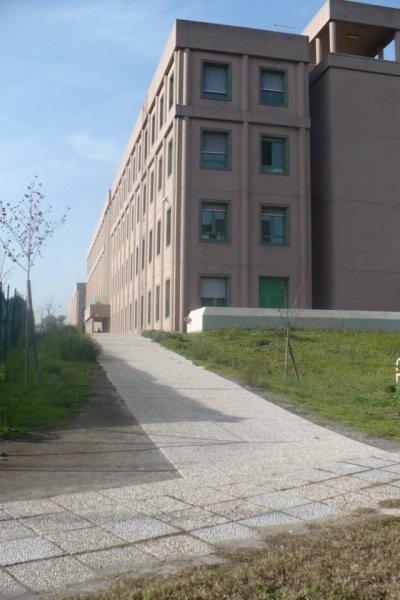 Vialetto ingegneria
